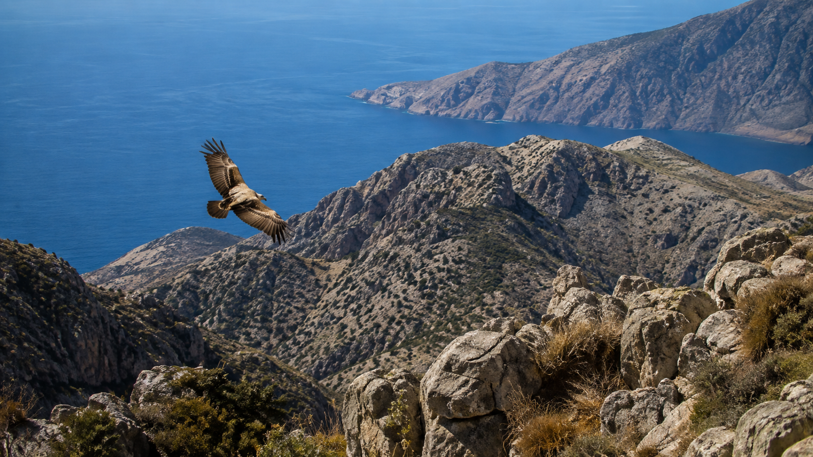 Τα Αστερούσια συνδυάζουν απότομα βουνά, θαλάσσιο τοπίο και σημαντικούς βιότοπους για μεγάλα αρπακτικά.