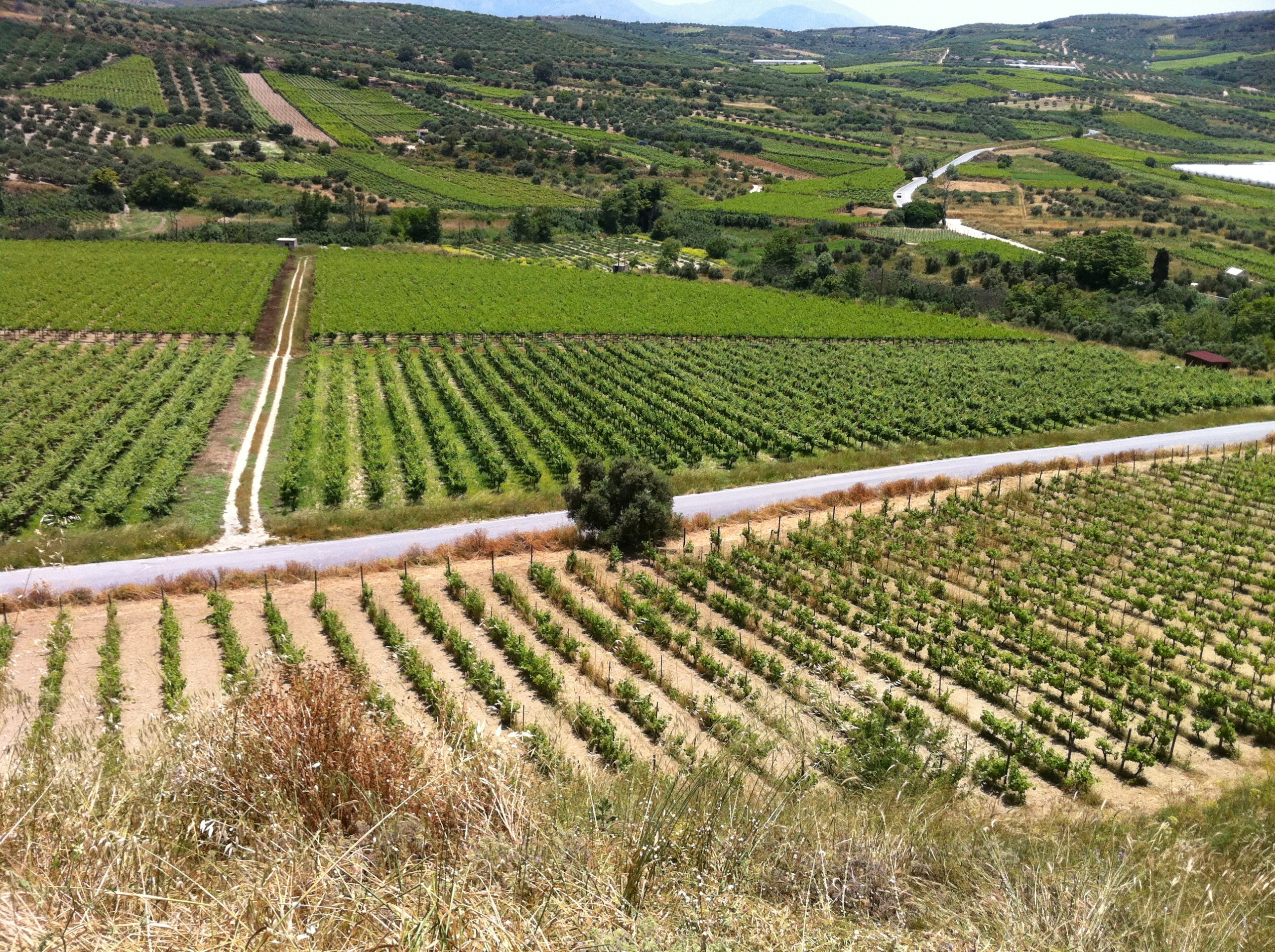 Κρήτη μέσα από τη γεύση